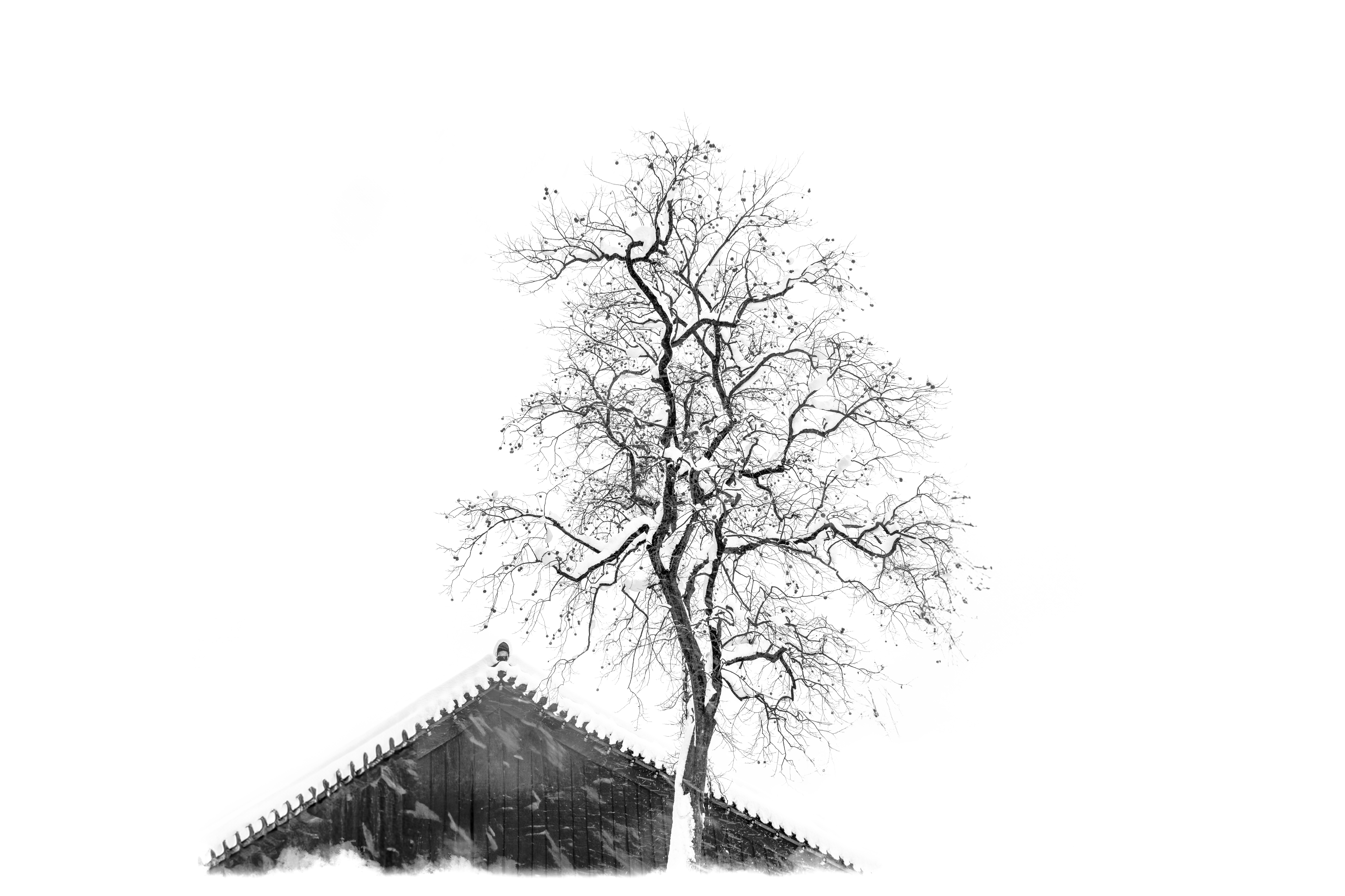 밝기 체크